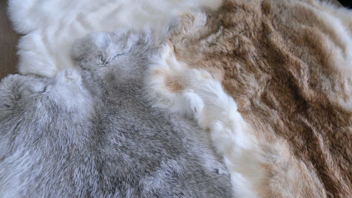Animal Taxidermy & Fur