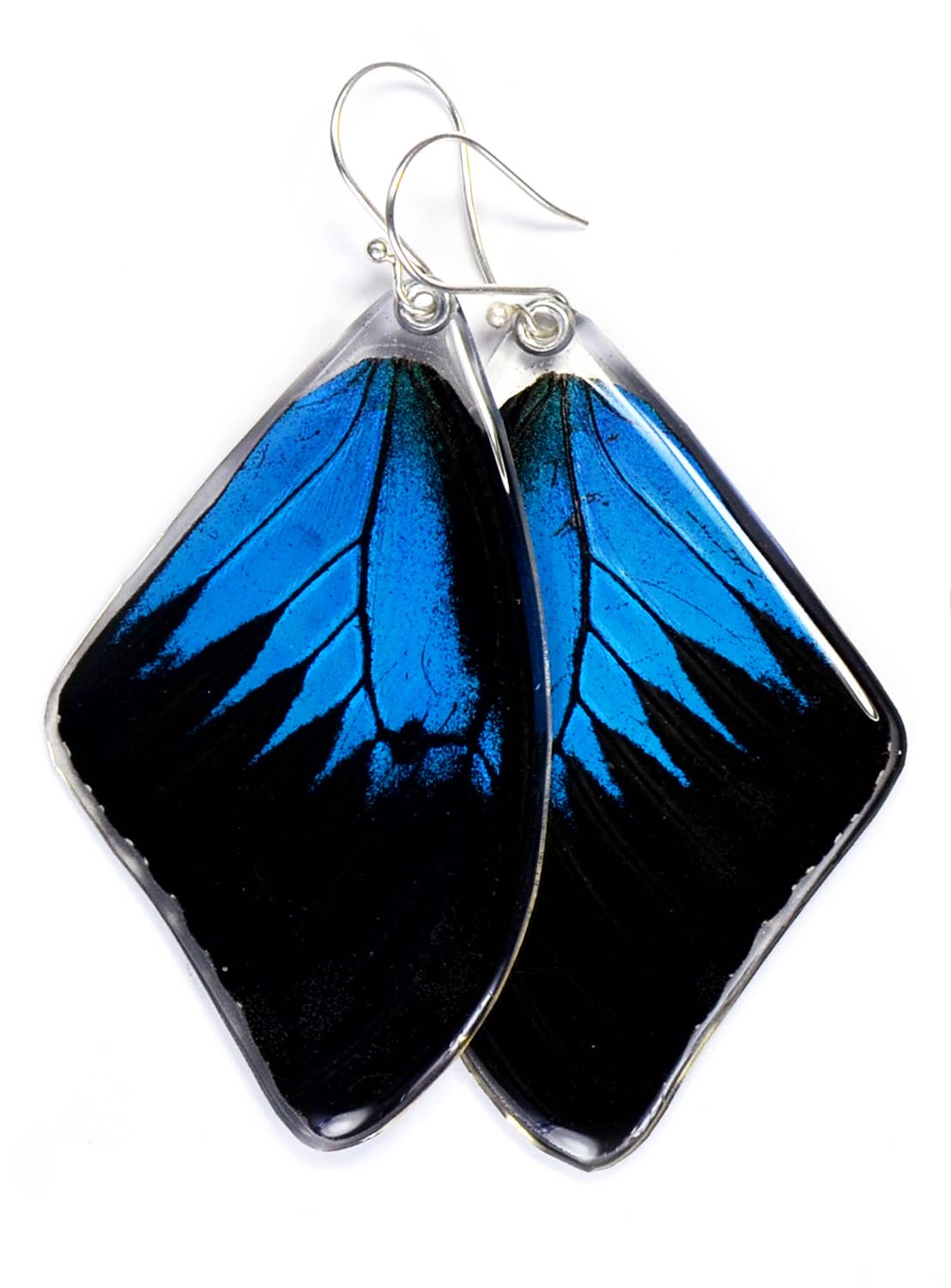Resin s925 Earrings | Papilio Ulysses Forewings