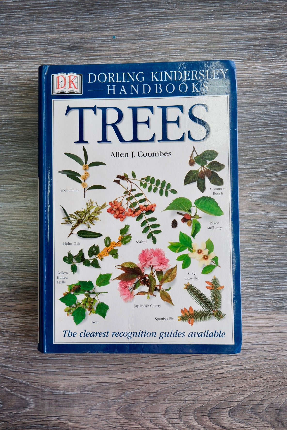 Dorling Kindersley Handbooks: Trees