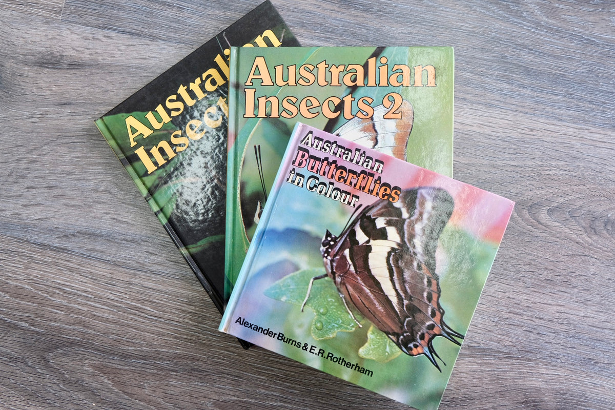 Australian Insects 1 & 2 + Australian Butterflies in Colour | Book Bundle (3) | Used Condition