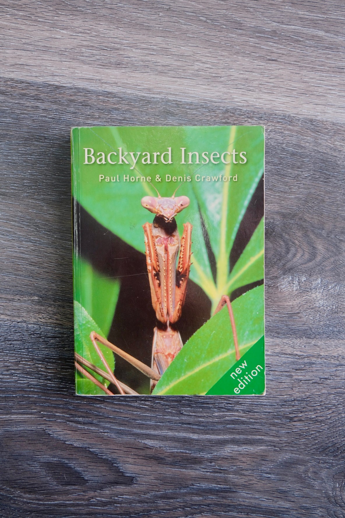 Backyard Insects Book