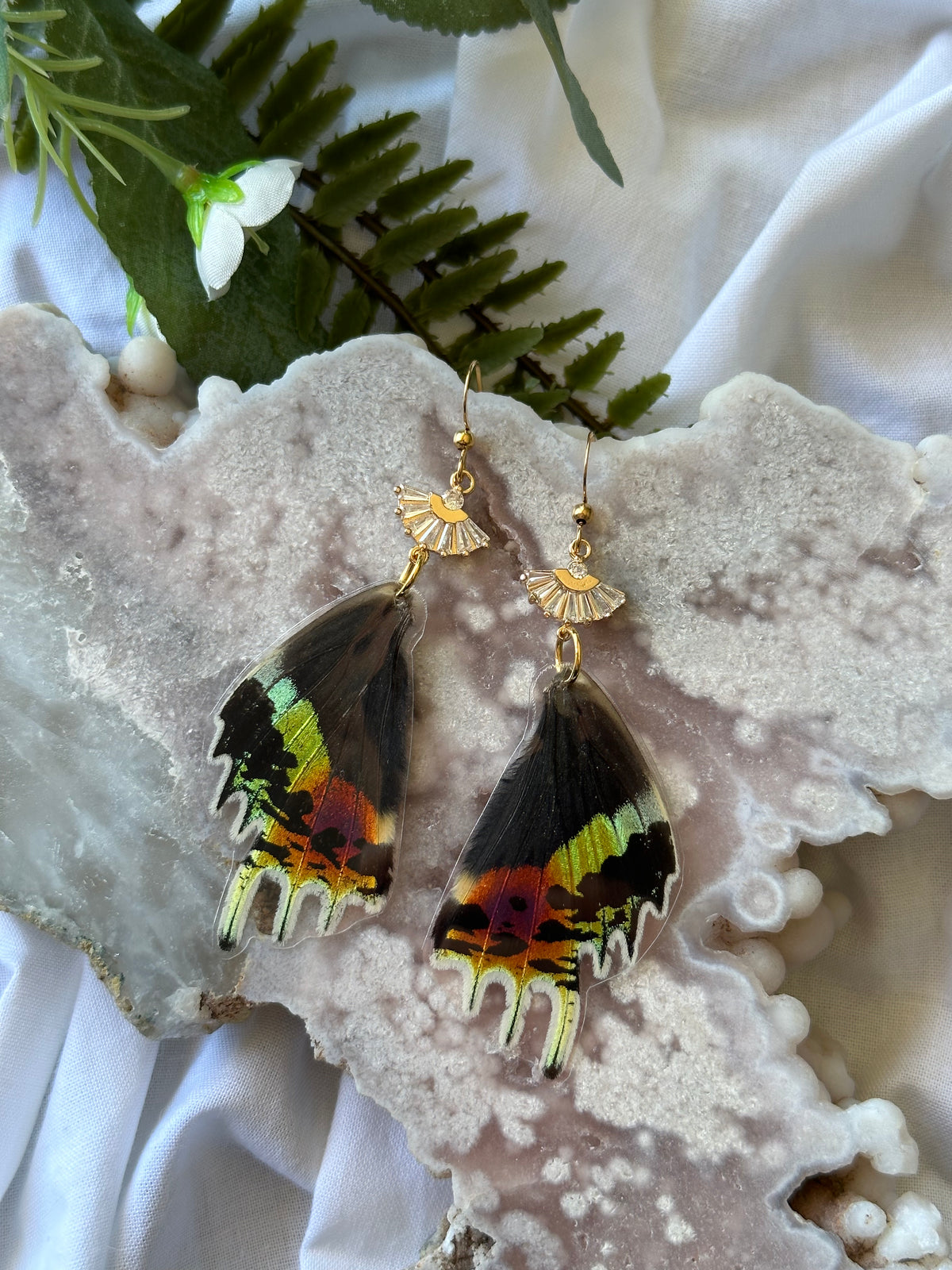 Real Madagascan Sunset Moth Hindwing Earrings