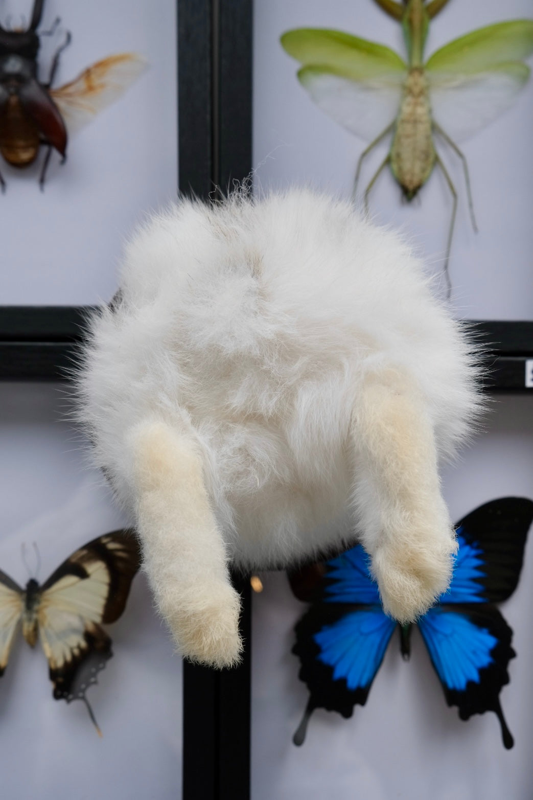 Bunny Bum | Wall Mounted | White w/ Brown Markings