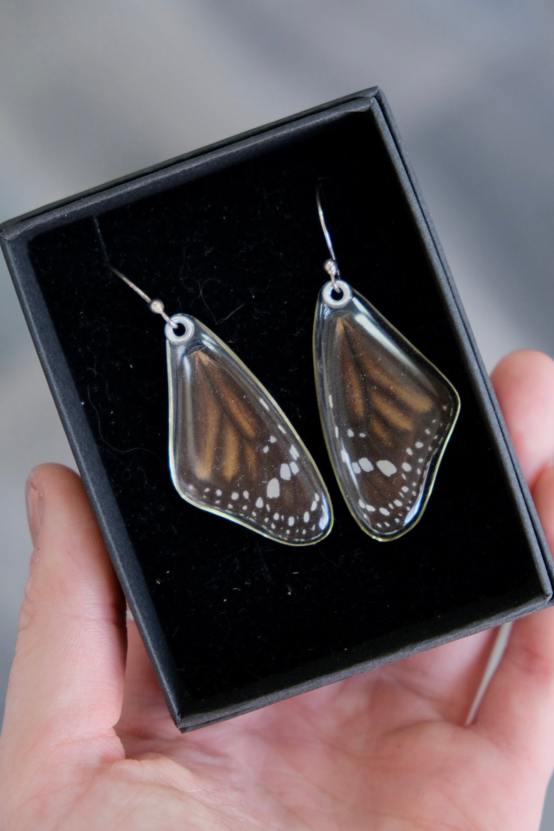 Resin s925 Earrings | Monarch Forewings