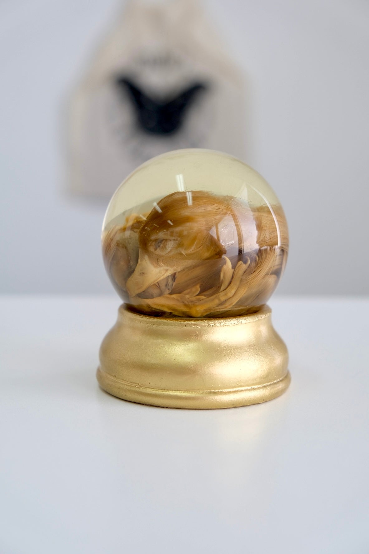 Wet Specimen Globe + Golden Stand | Duckling