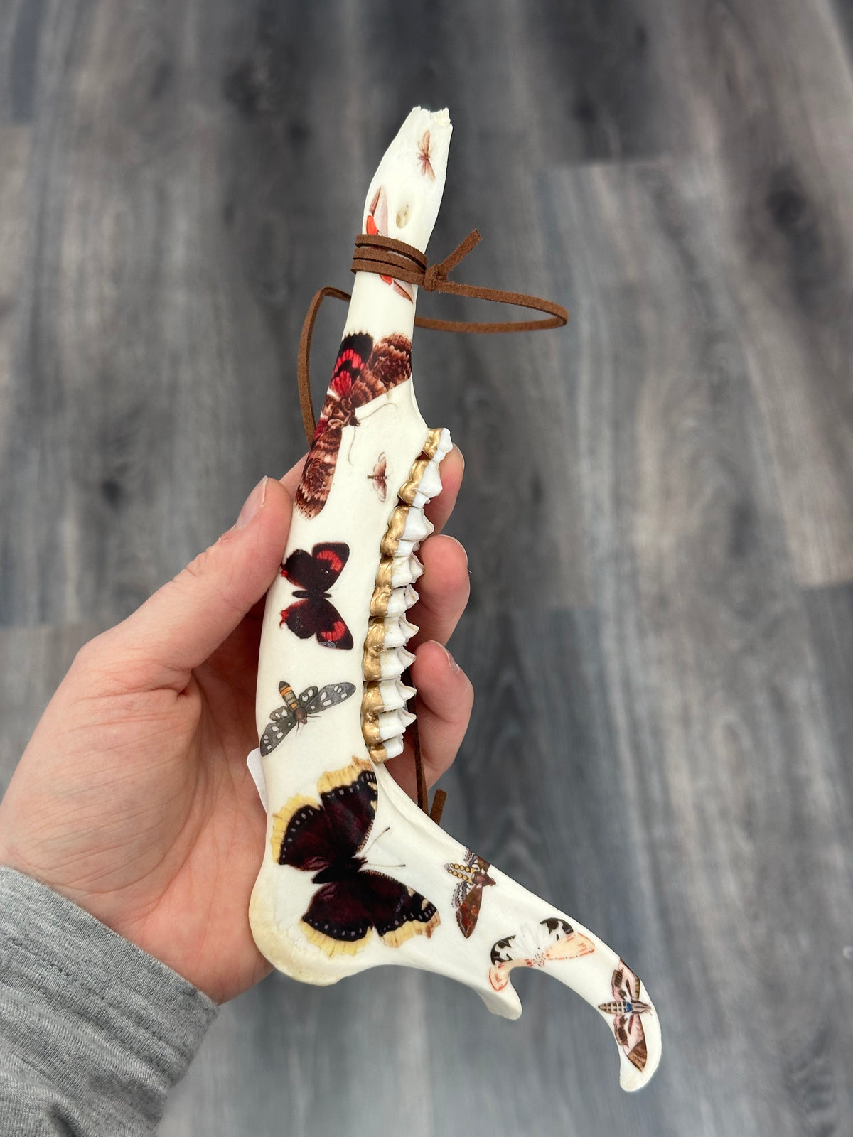 Painted Deer Jaw Bone