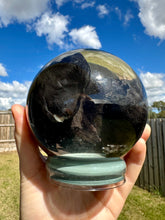 Load image into Gallery viewer, “Sadie” Wet Specimen Puppy Globe
