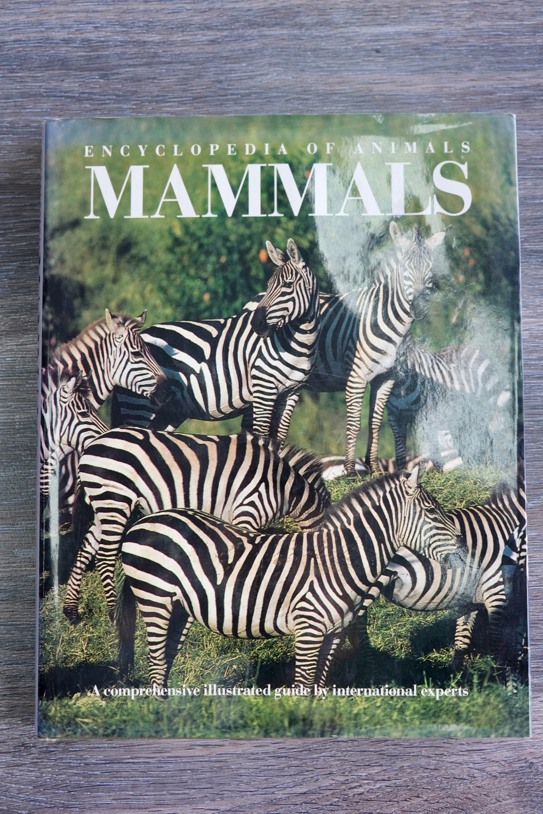 Encyclopaedia of Animals: Mammals Book