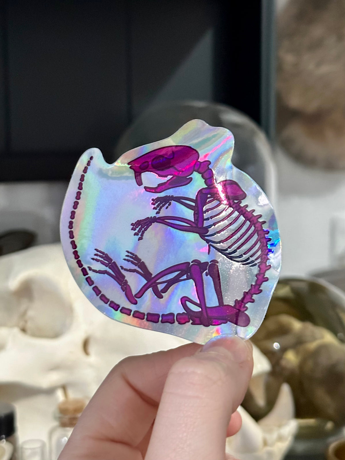 Diaphonised Mouse Holographic Sticker
