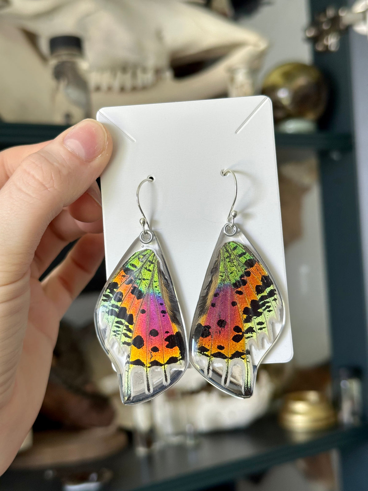 Resin s925 Earrings | Madagascan Sunset Moth Hindwings