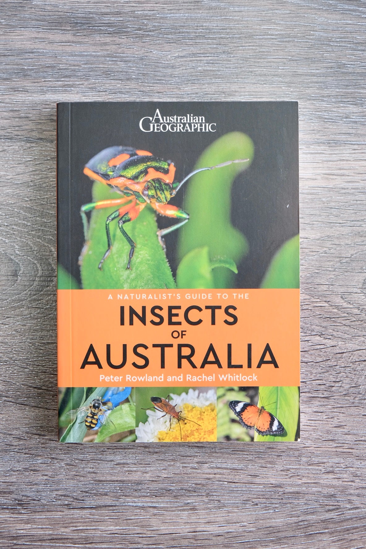 Australian Geographic Insects of Australia Book