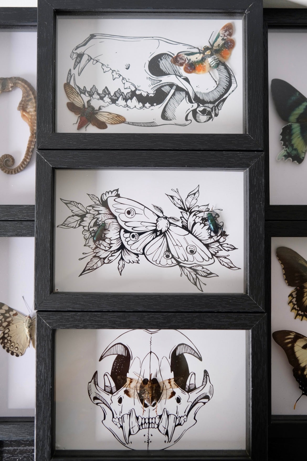 'White Bones' Postcard Frame w/ bugs