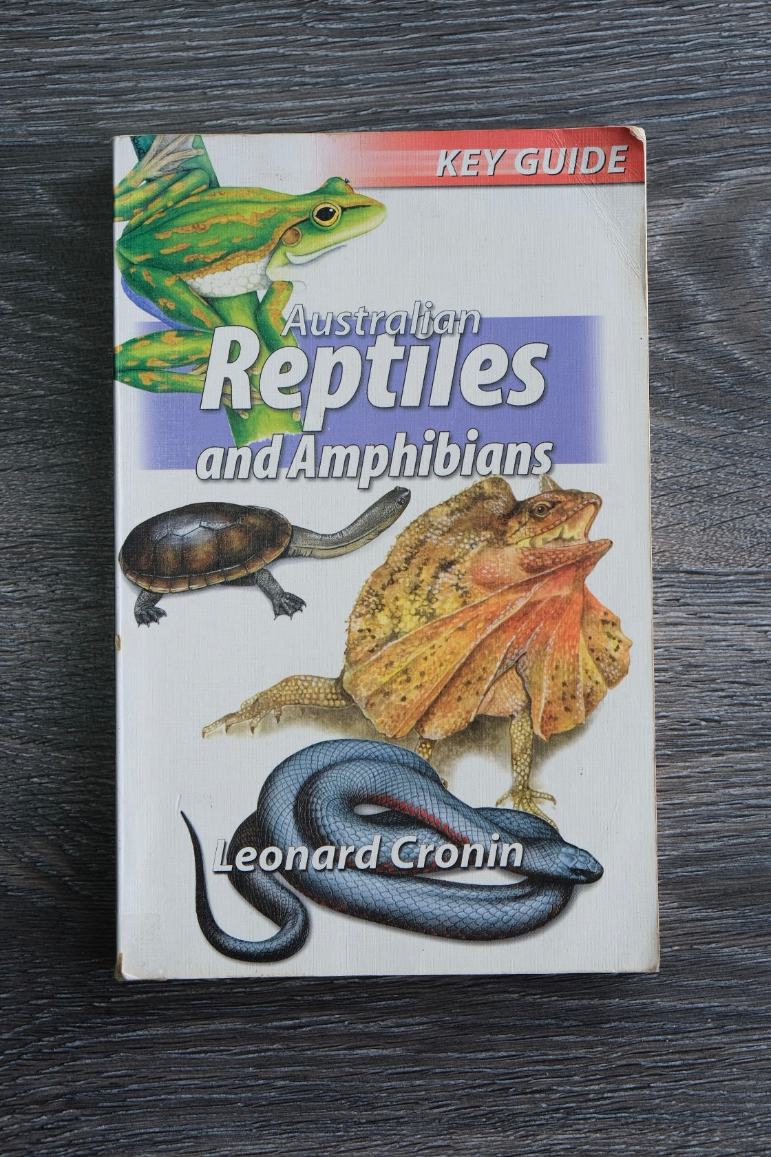 Australian Reptiles and Amphibians Book | Used Condition