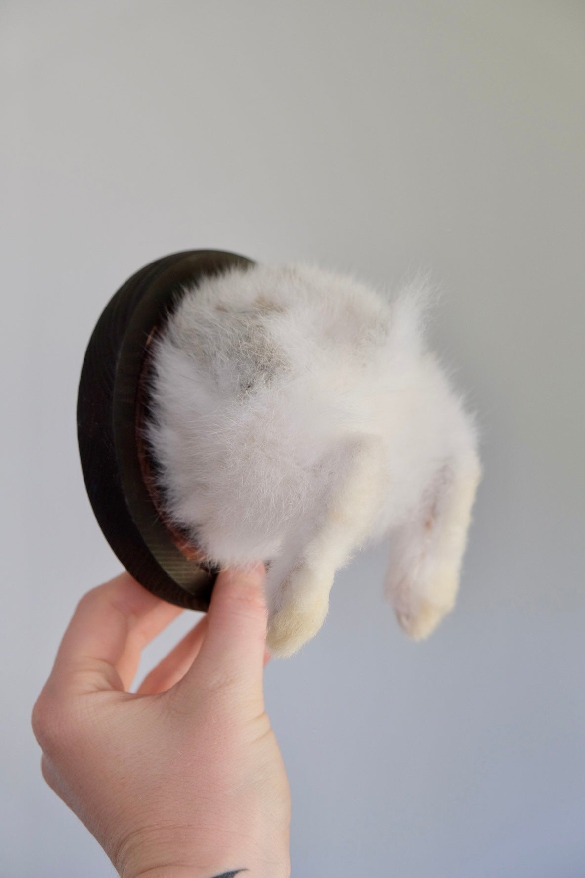 Bunny Bum | Wall Mounted | White & Brown