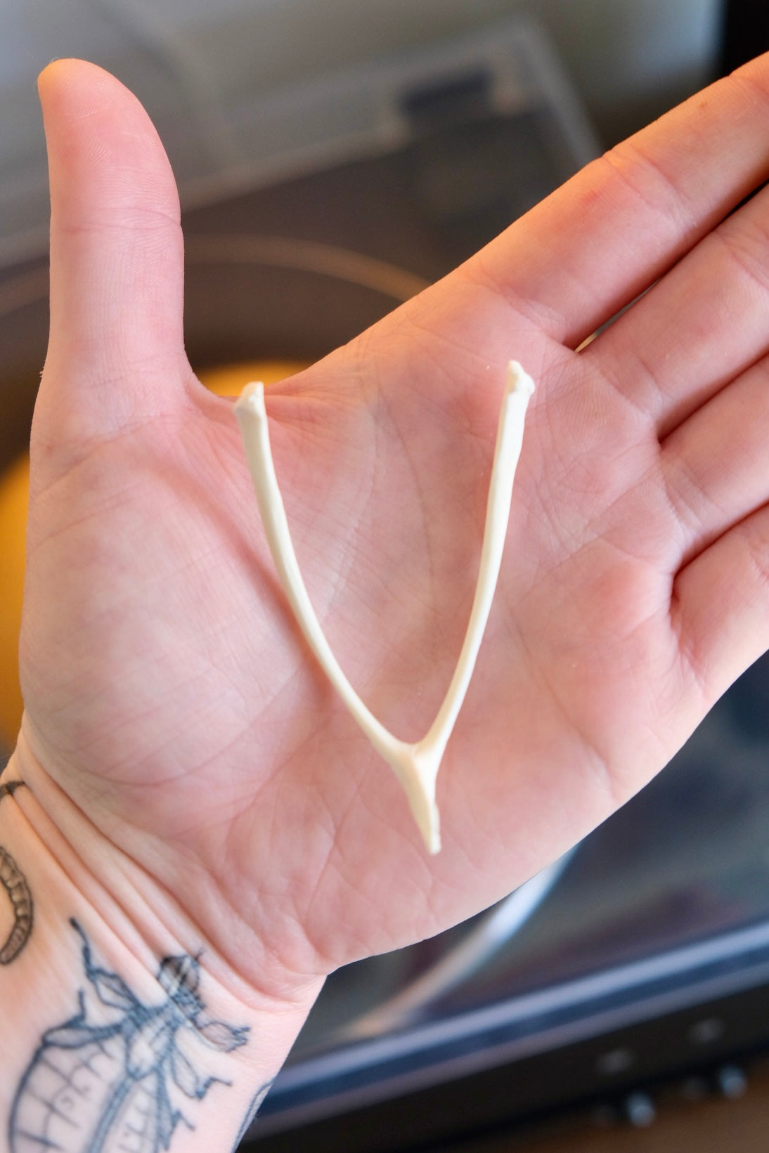 Chicken Furcula 'Wish Bone'