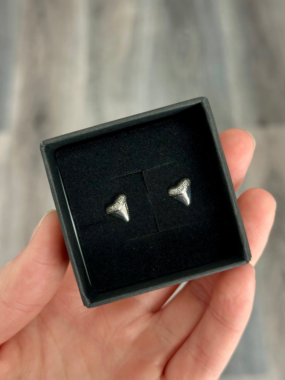 Shark Tooth Stud Earrings | s925 Sterling Silver