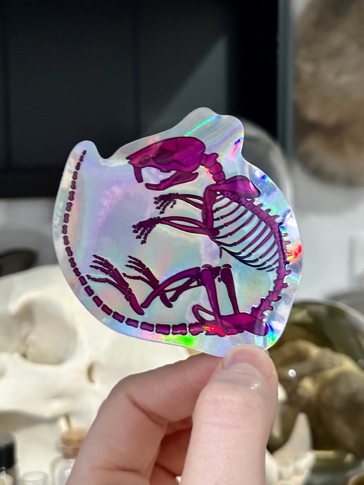 Diaphonised Mouse Holographic Sticker