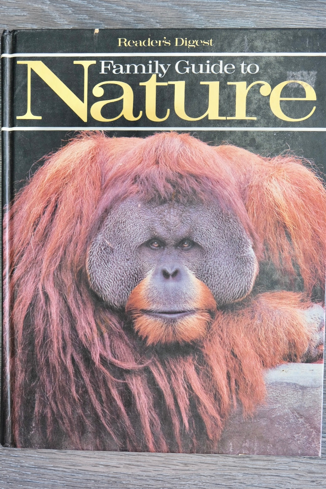 Family Guide to Nature Book