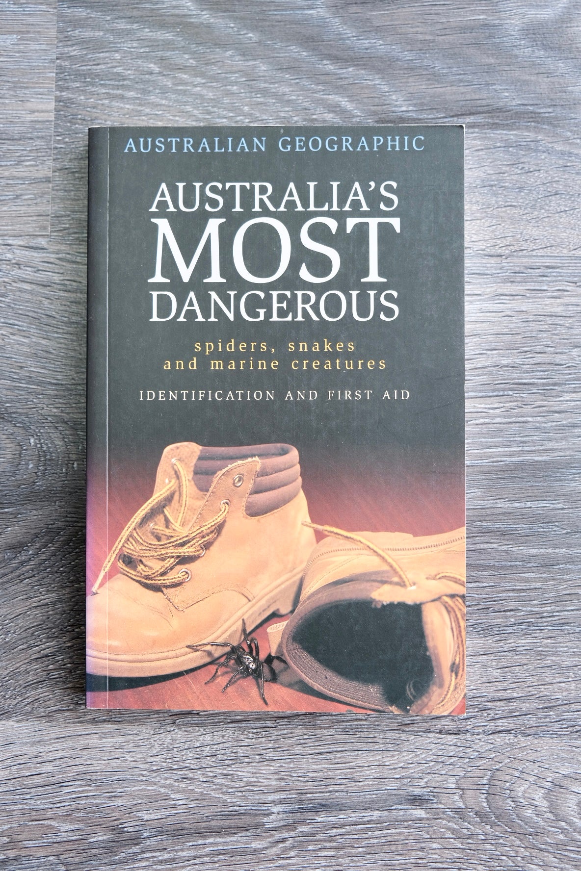 Australia's Most Dangerous Book | Spiders, Snakes and Marine Creatures