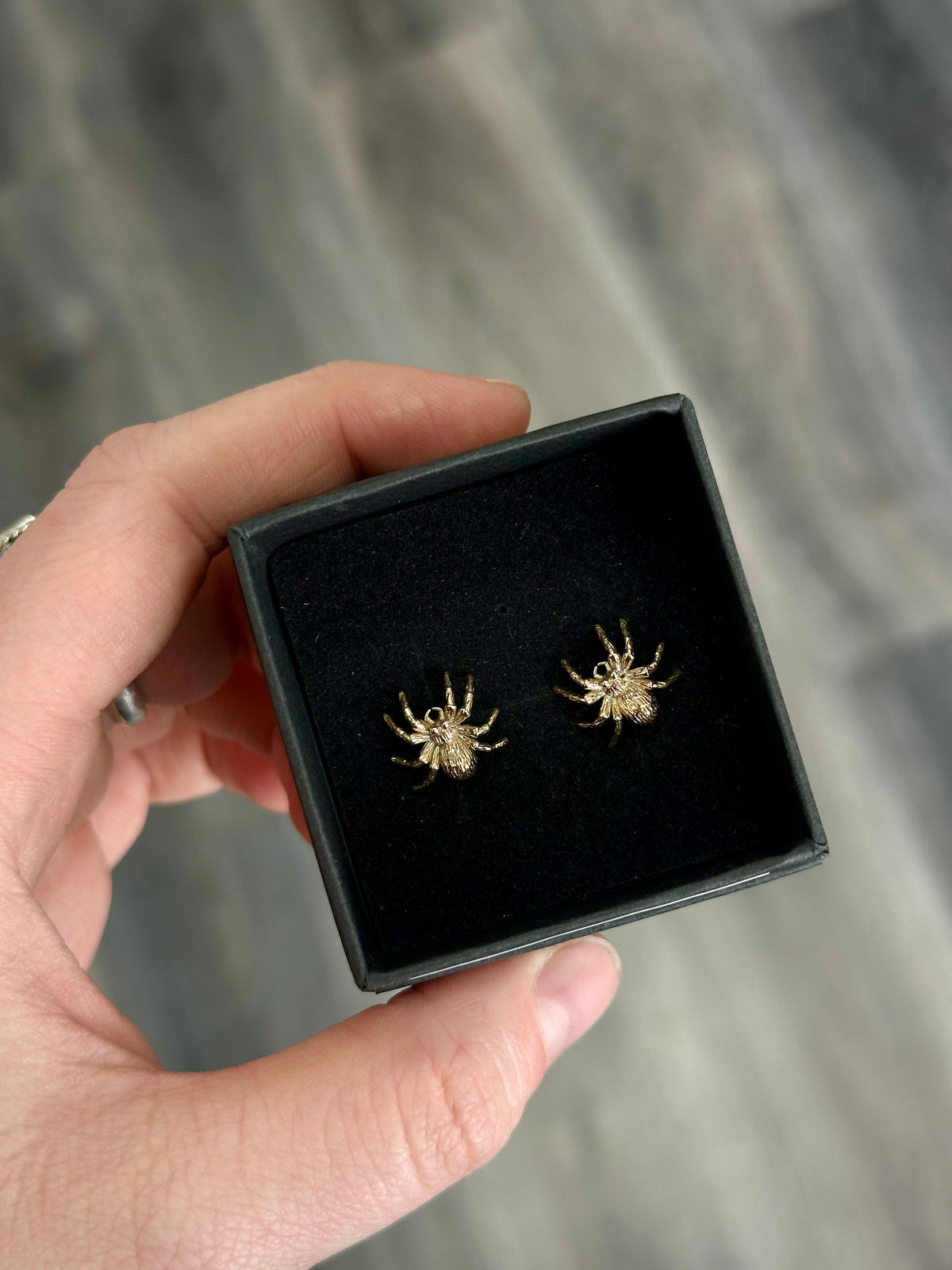 Spider Post Earrings | Bronze