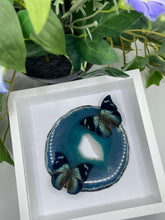 Load image into Gallery viewer, Corner-Spotted Leafwing Butterfly &amp; Agate Duo Frame
