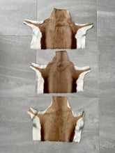 Load image into Gallery viewer, 1 x Springbok Hide Offcut
