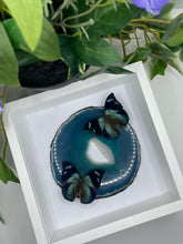 Load image into Gallery viewer, Corner-Spotted Leafwing Butterfly &amp; Agate Duo Frame
