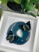 Load image into Gallery viewer, Corner-Spotted Leafwing Butterfly &amp; Agate Duo Frame
