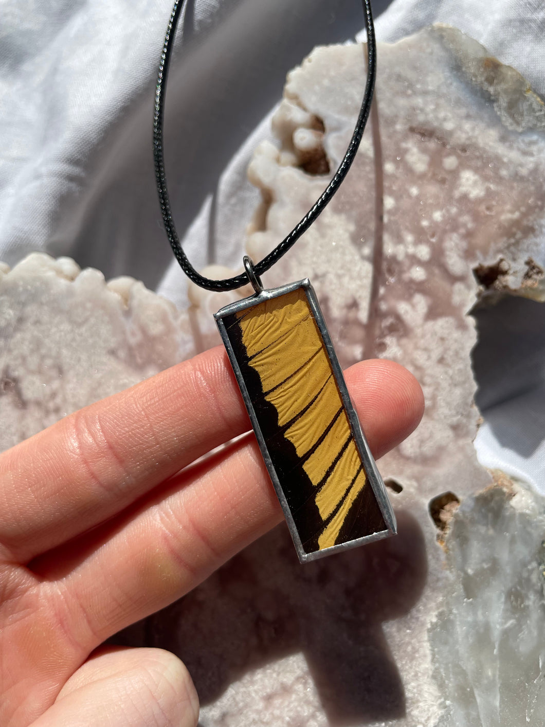 Papilio Thoas Butterfly Wing Pendant