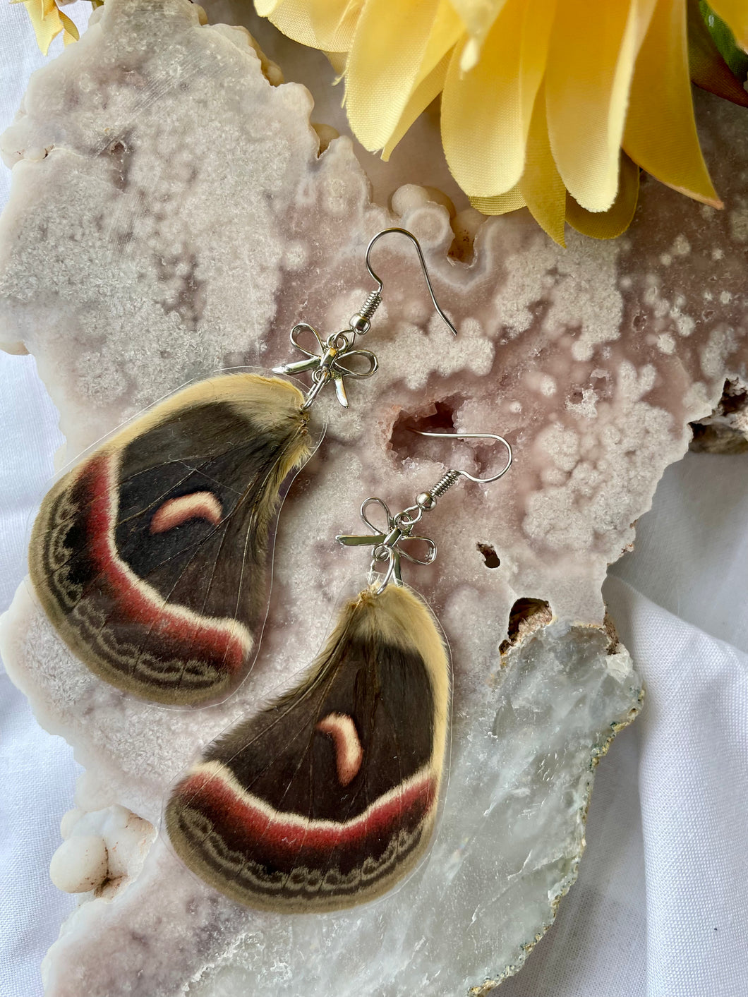 Real Cecropia Moth Hindwing Earrings