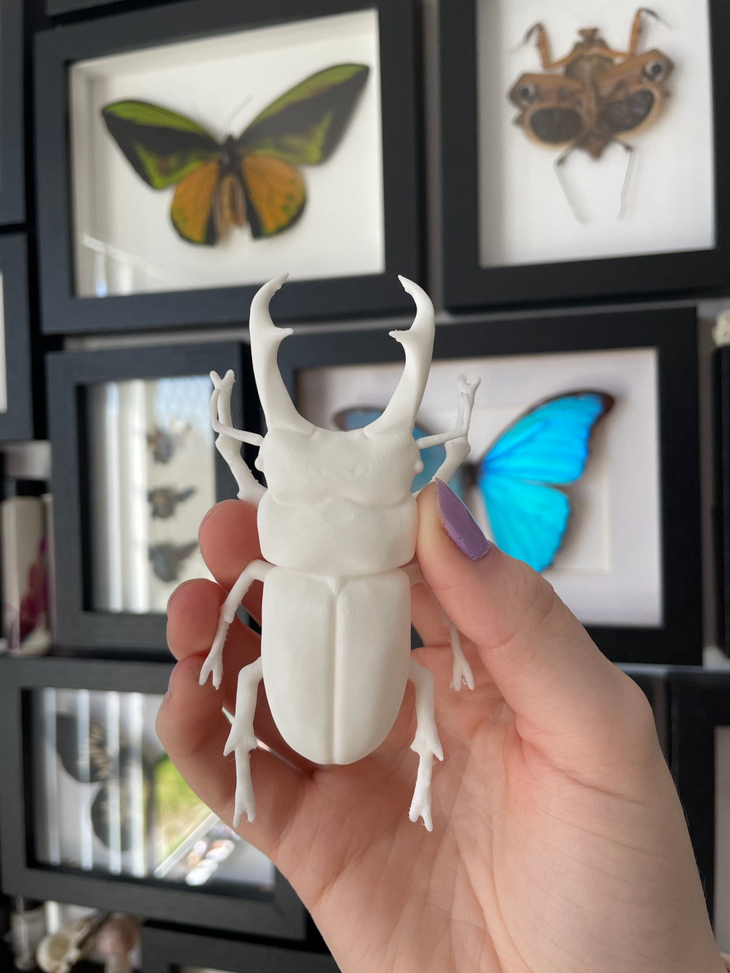 3D Printed Stag Beetle