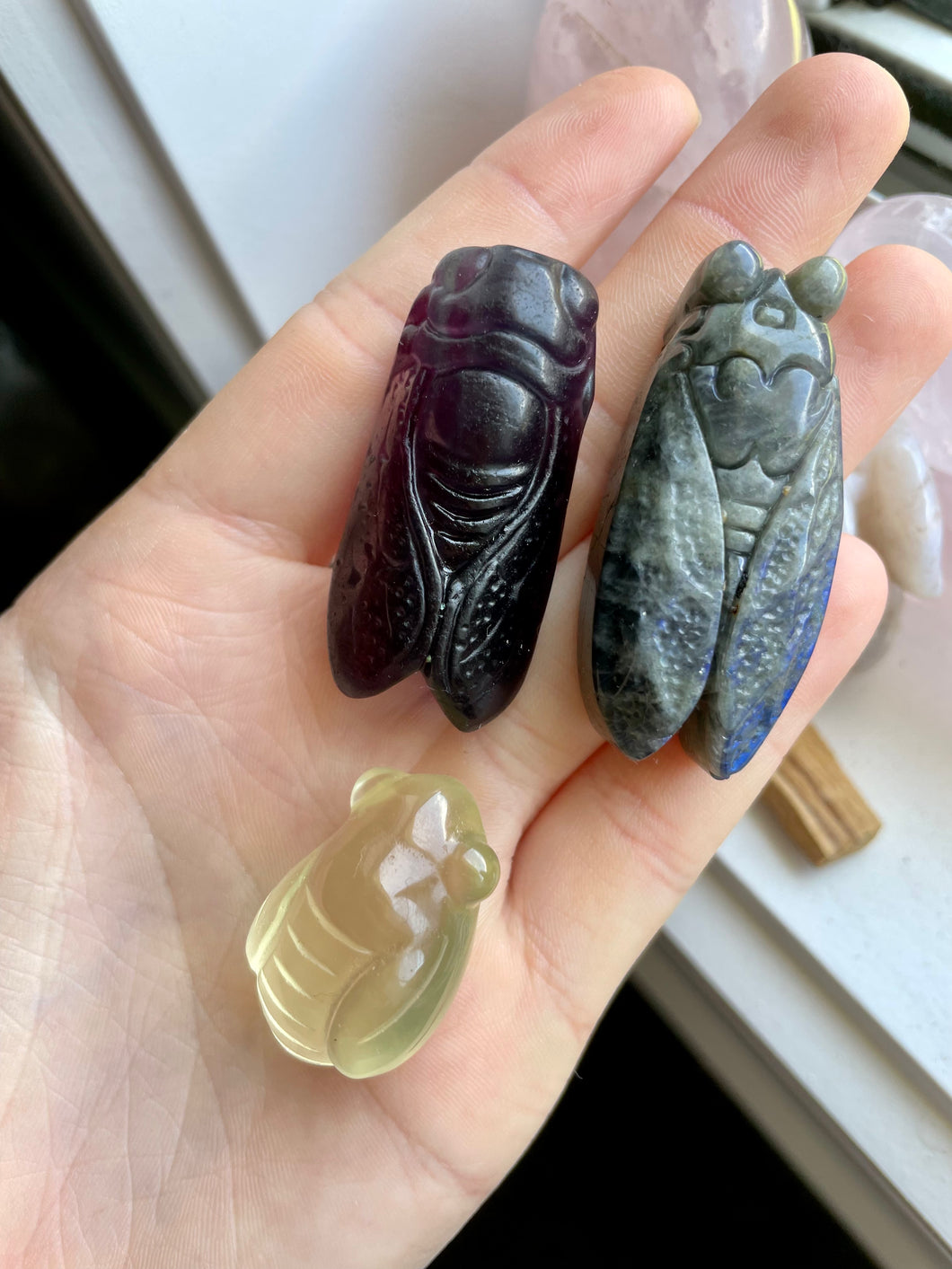Cicada Crystal Carving