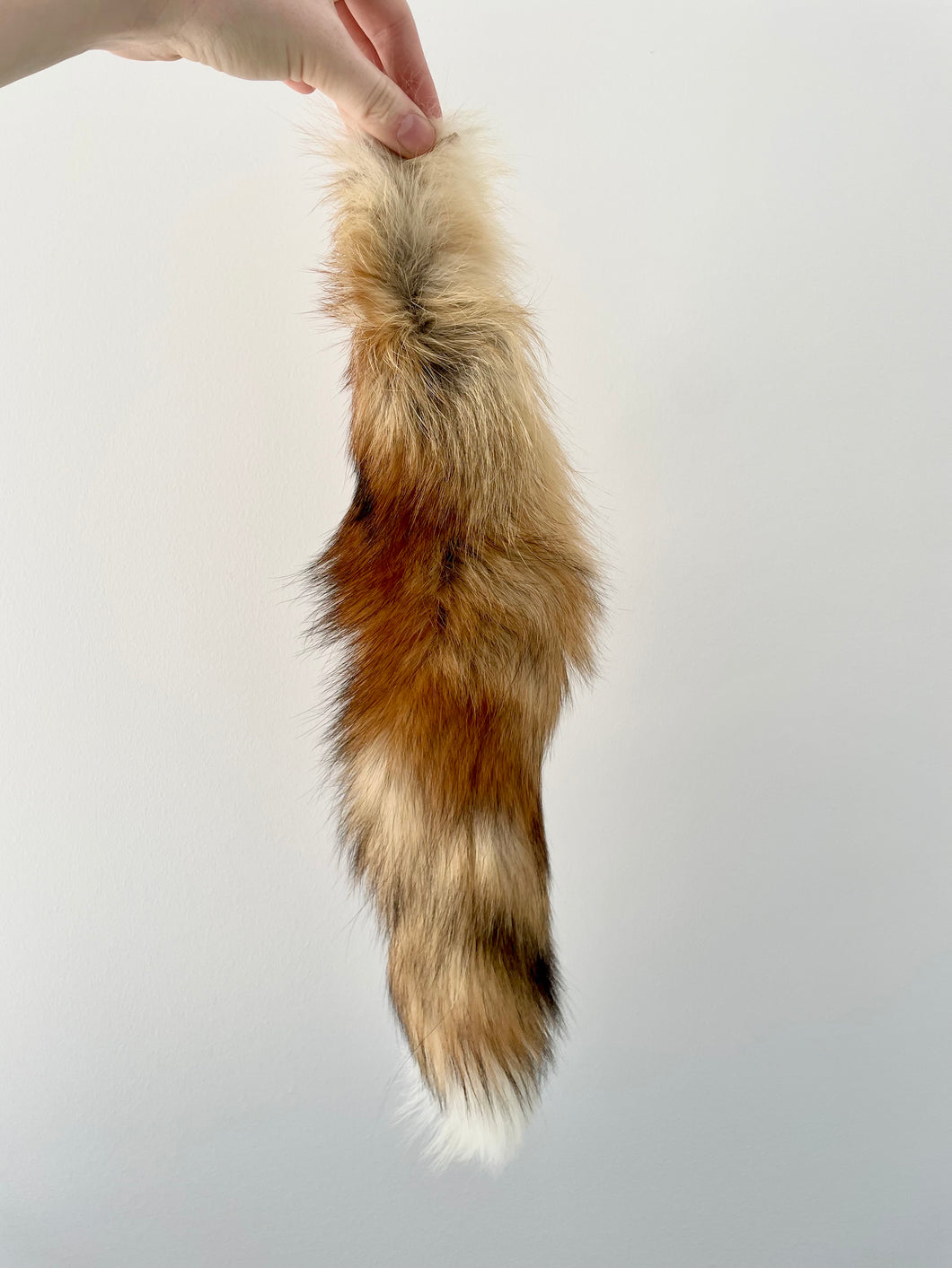 Red Fox Tail