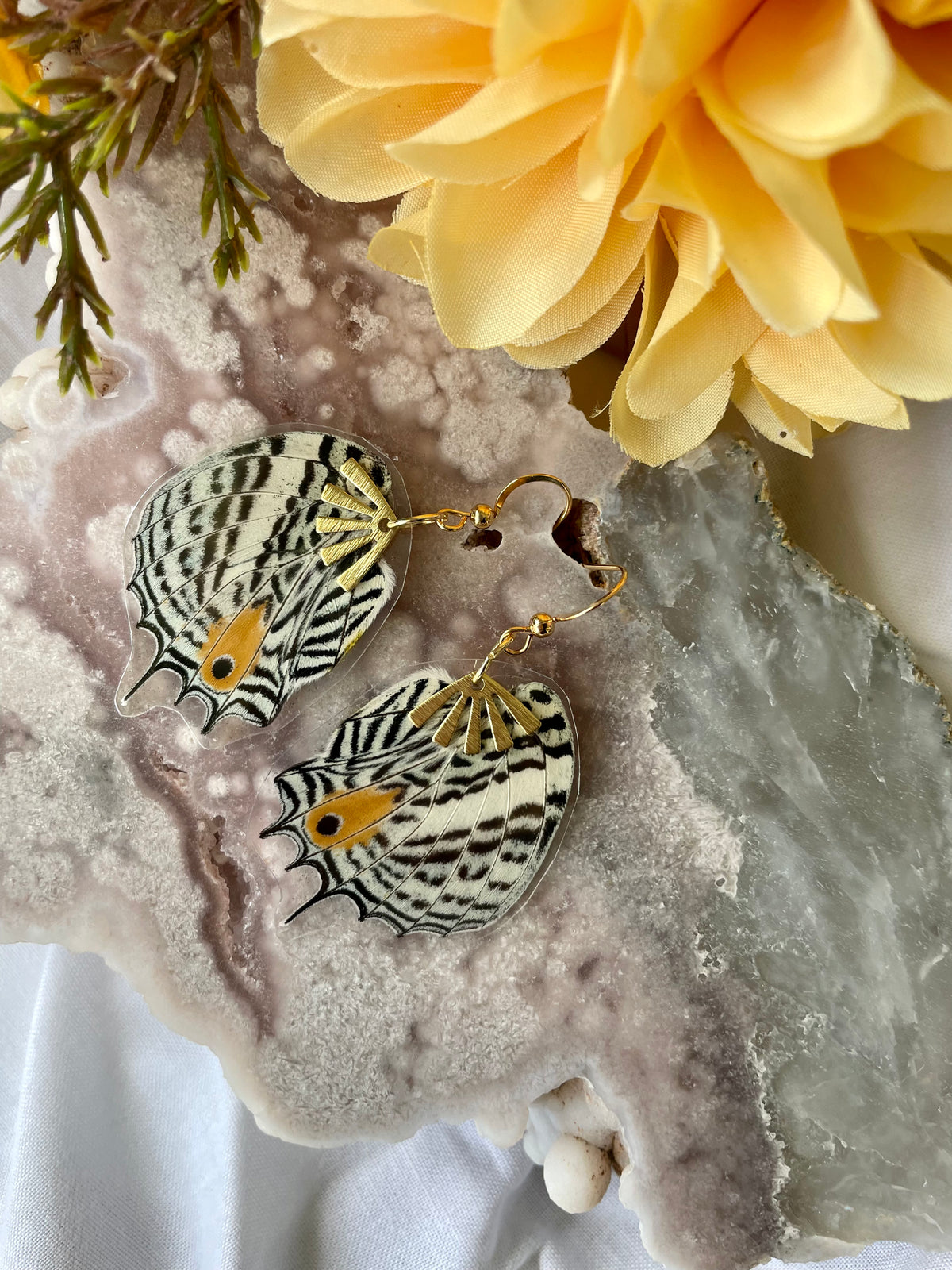 Real Baeotus Baeotus Butterfly Hindwing Earrings