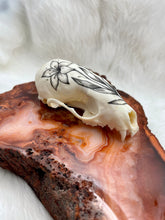 Load image into Gallery viewer, Hand Painted Marten Skull - Bee &amp; Flowers
