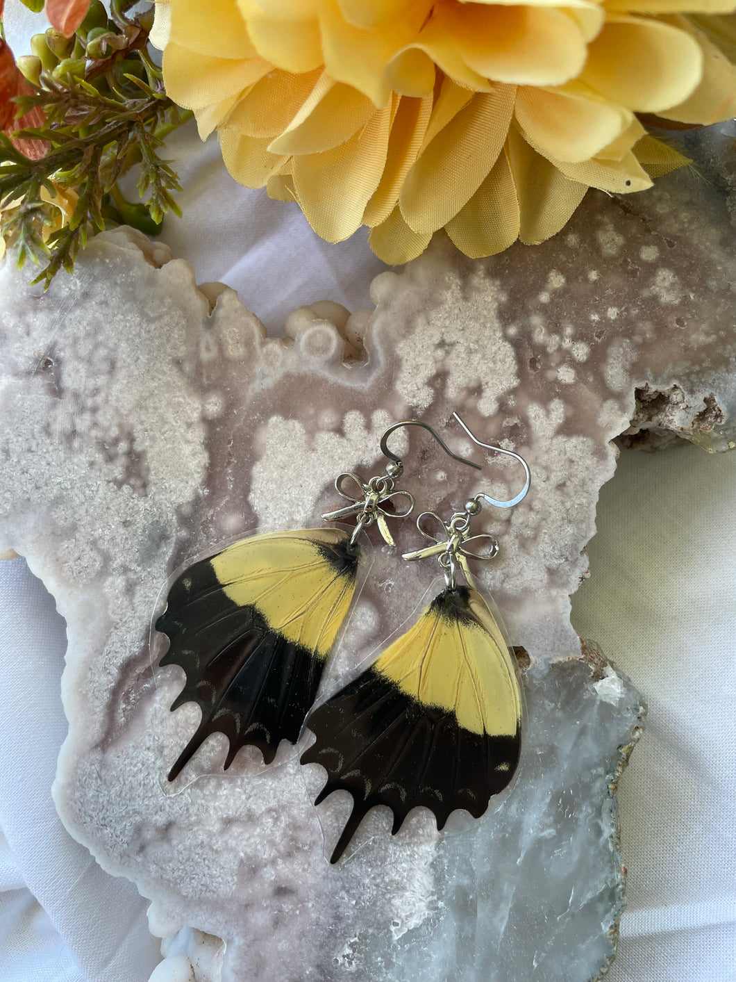Real Papilio Androgeus Butterfly Hindwing Earrings
