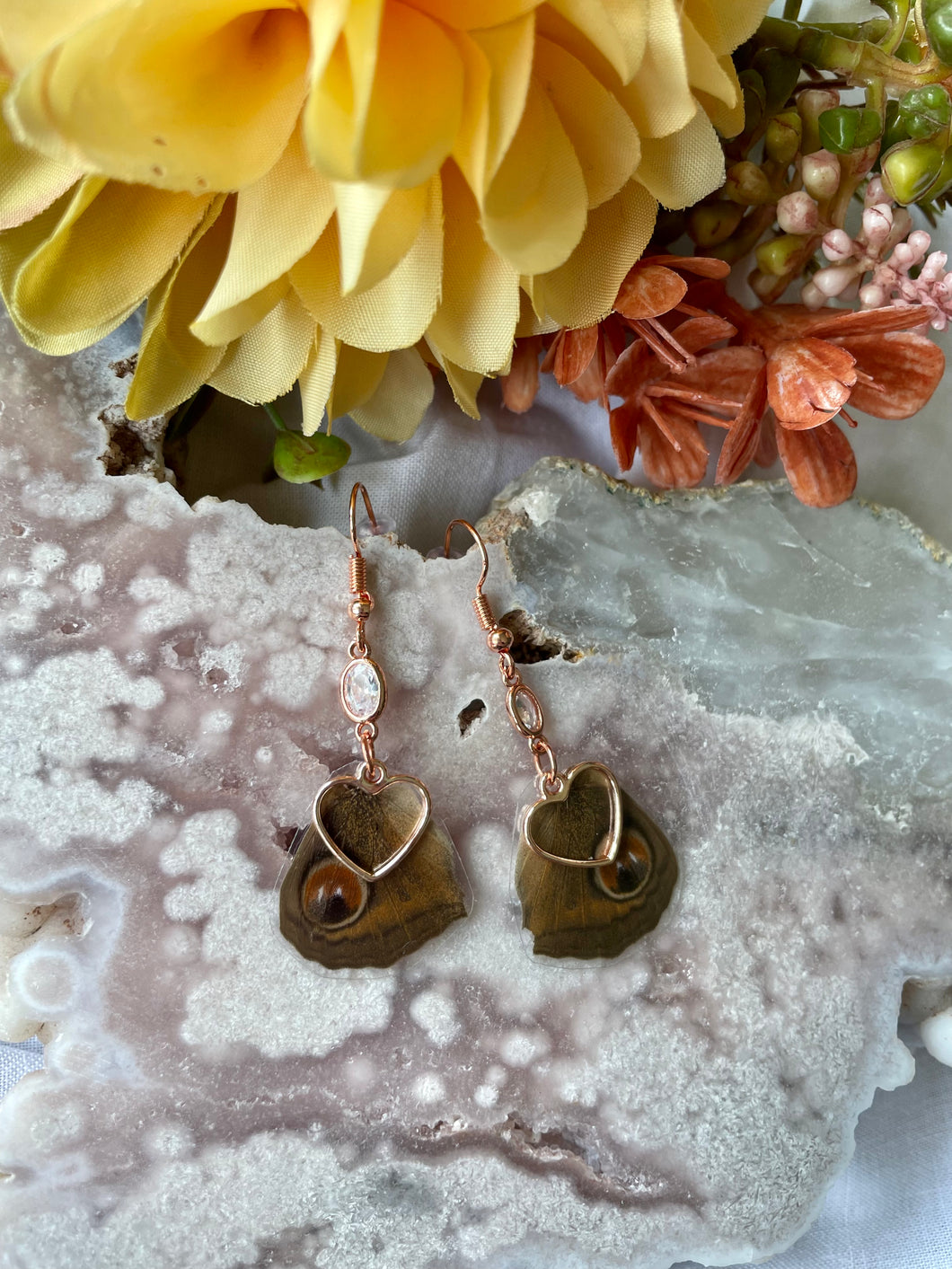 Real Junonia Almana Butterfly Hindwing Earrings