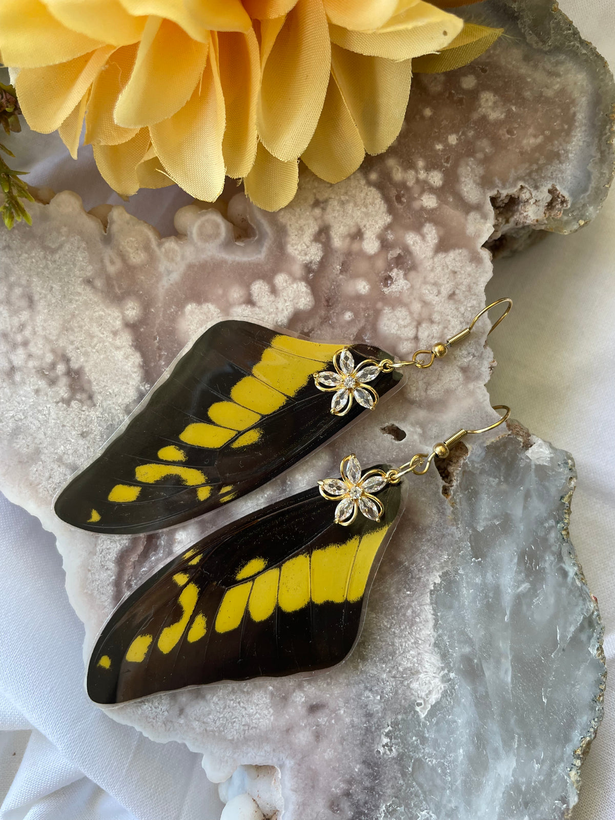 Real Papilio Thoas Butterfly Forewing Earrings