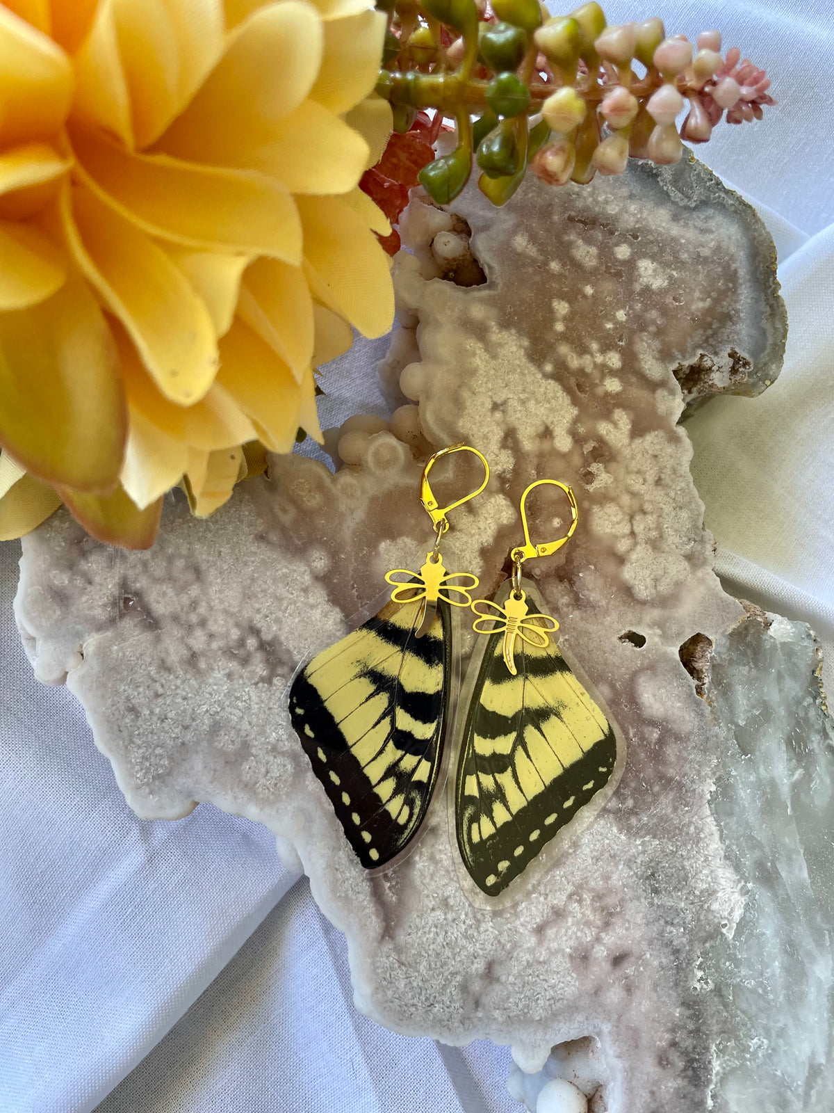 Real Papilio Glaucus Butterfly Forewing Earrings