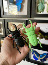 Load image into Gallery viewer, 3D Printed Stag Beetle
