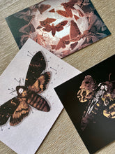 Load image into Gallery viewer, Death&#39;s-head Hawkmoth Postcard Prints
