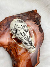 Load image into Gallery viewer, Hand Painted Marten Skull - Bee &amp; Flowers

