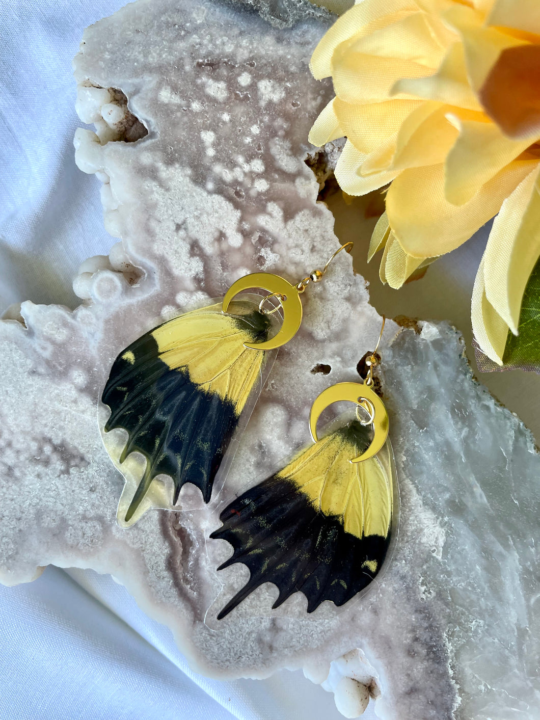 Real Papilio Androgeus Butterfly Hindwing Earrings